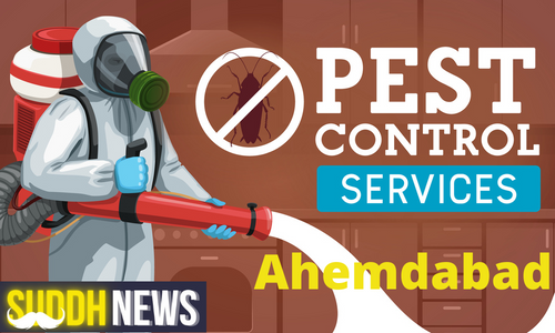 Pest Control In Ahemdabad