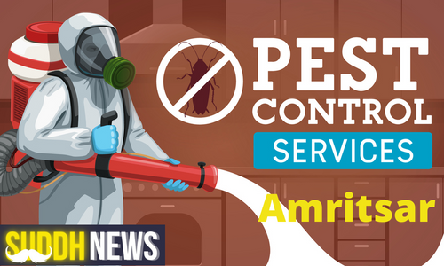Pest Control In Amritsar