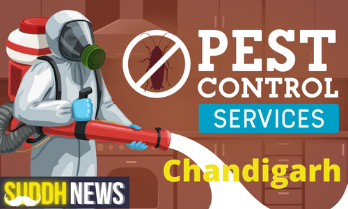 Pest Control In Chandigarh