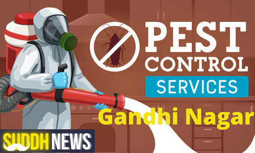 Pest Control In Gandhi Nagar