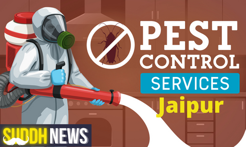 Pest Control In Jaipur