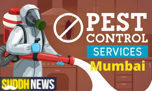 Pest Control In Mumbai