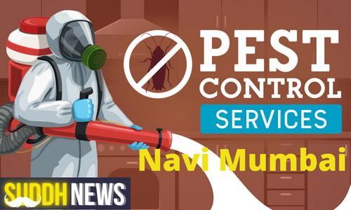 Pest Control In Navi Mumbai