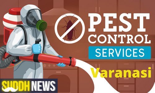 Pest Control In Varanasi