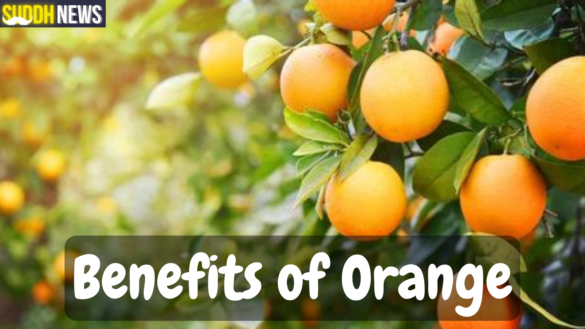 संतरा खाने के फायदे जो आपकी सेहत को बेहतर रखेंगे और नुकसान