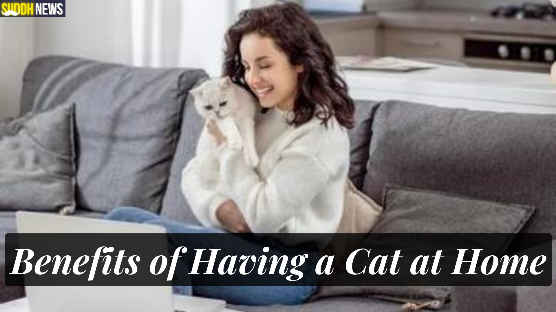 ‌‌‌अपने घर मे बिल्ली पालने के 10 जबरदस्त फायदे