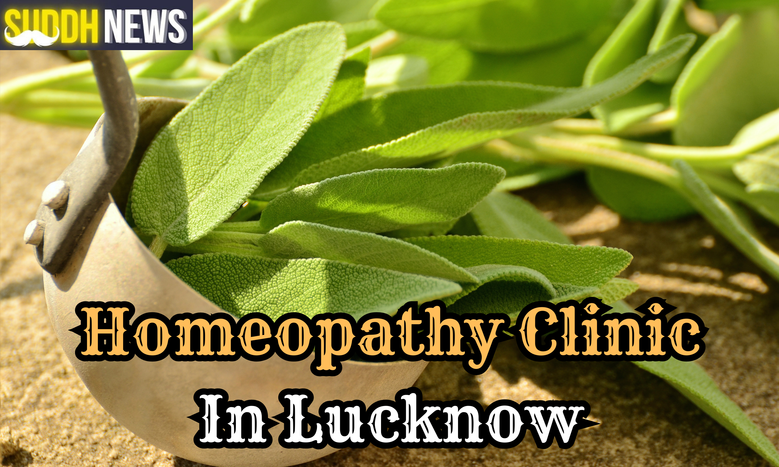 Homeopathy Clinic In Lucknow