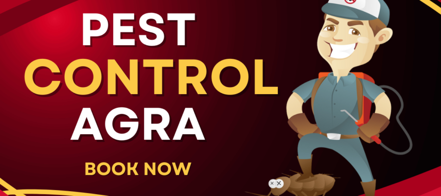 A Pest Control Cartoon with Mask who provide Pest Control In Agra