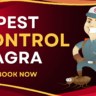A Pest Control Cartoon with Mask who provide Pest Control In Agra