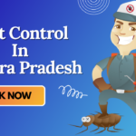 A Man with Mask who provide Pest Control In Andhra Pradesh