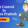 A Man with Mask who provide Pest Control In Andhra Pradesh