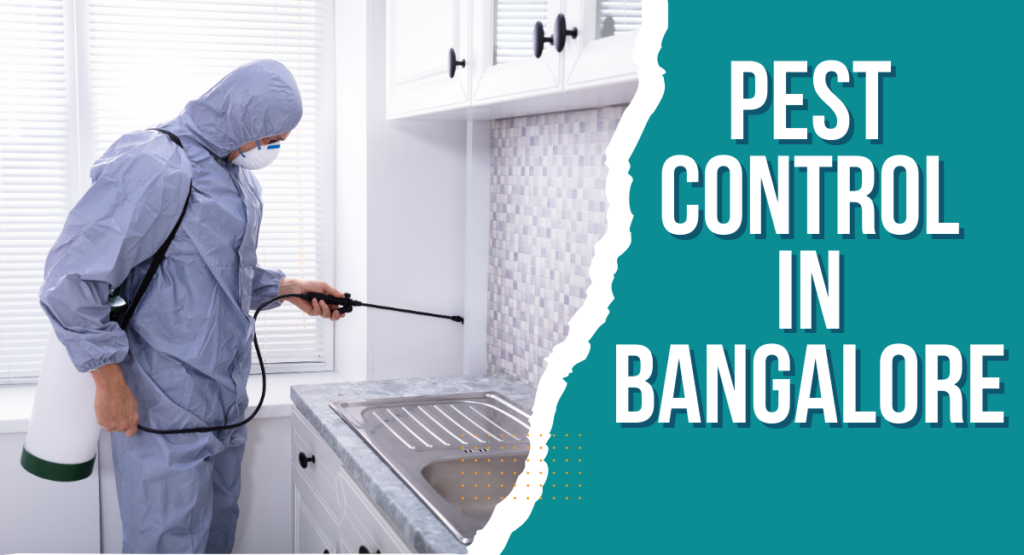 Pest Control In Bangalore