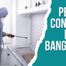 Pest Control In Bangalore