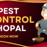 A Pest Control Cartoon with Mask who provide Pest Control In Bhopal