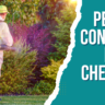 Pest Control In Chennai