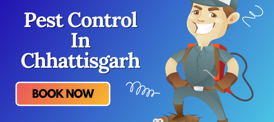 A Pest Control Cartoon with Mask who provide Pest Control In Chhattisgarh