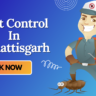 A Pest Control Cartoon with Mask who provide Pest Control In Chhattisgarh