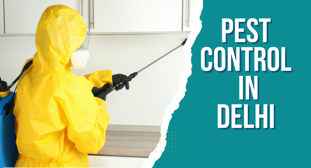 Pest Control In Delhi