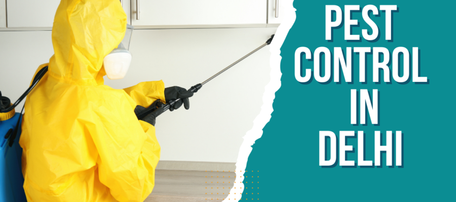 Pest Control In Delhi