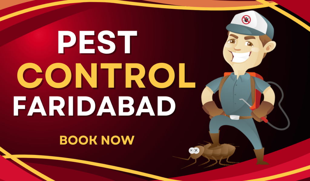 A Pest Control Cartoon with Mask who provide Pest Control In Faridabad