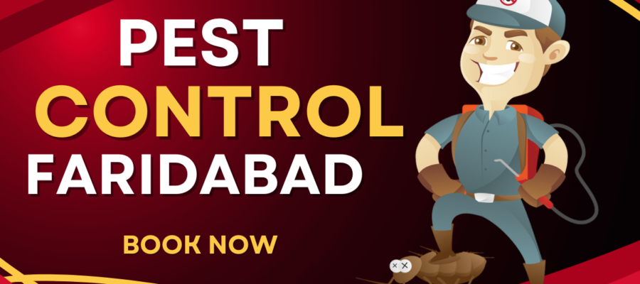 A Pest Control Cartoon with Mask who provide Pest Control In Faridabad