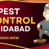 A Pest Control Cartoon with Mask who provide Pest Control In Faridabad