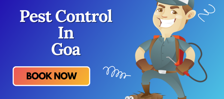 A Pest Control Cartoon with Mask who provide Pest Control In Goa