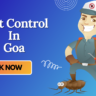 A Pest Control Cartoon with Mask who provide Pest Control In Goa
