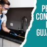 Pest Control In Gujarat