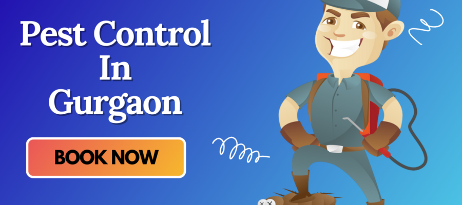 A Pest Control Cartoon with Mask who provide Pest Control In Gurgaon