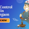 A Pest Control Cartoon with Mask who provide Pest Control In Gurgaon