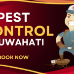 A Pest Control Cartoon with Mask who provide Pest Control In Guwahati