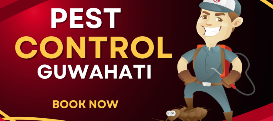 A Pest Control Cartoon with Mask who provide Pest Control In Guwahati