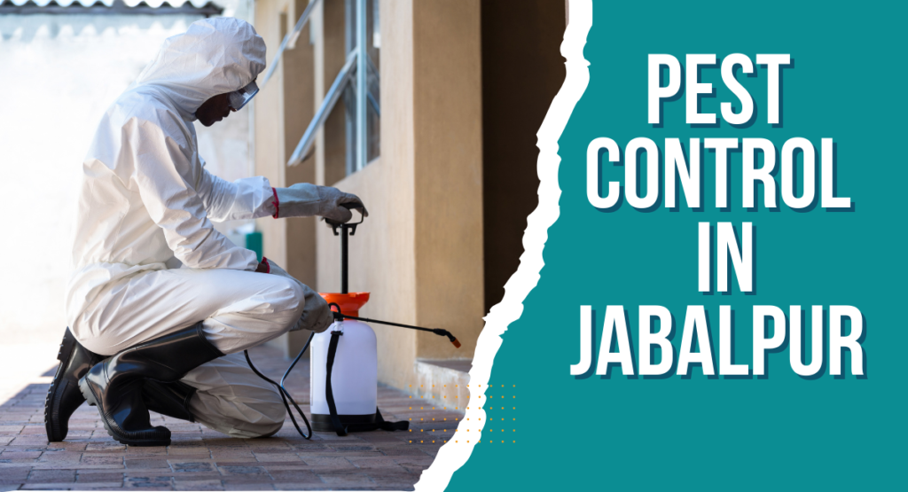 Pest Control In Jabalpur