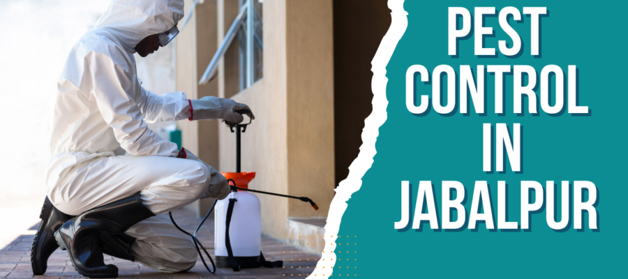 Pest Control In Jabalpur