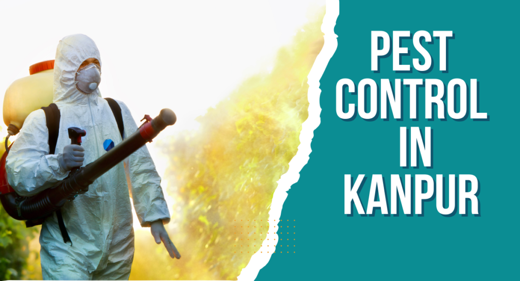 Pest Control In Kanpur