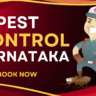 A Pest Control Cartoon with Mask who provide Pest Control In Karnataka