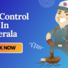 A Pest Control Cartoon with Mask who provide Pest Control In Kerala