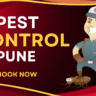 A Pest Control Cartoon with Mask who provide Pest Control In Pune