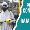 Pest Control In Rajasthan