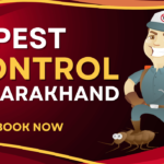 A Pest Control Cartoon with Mask who provide Pest Control In Uttarakhand