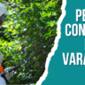 Pest Control In Varanasi