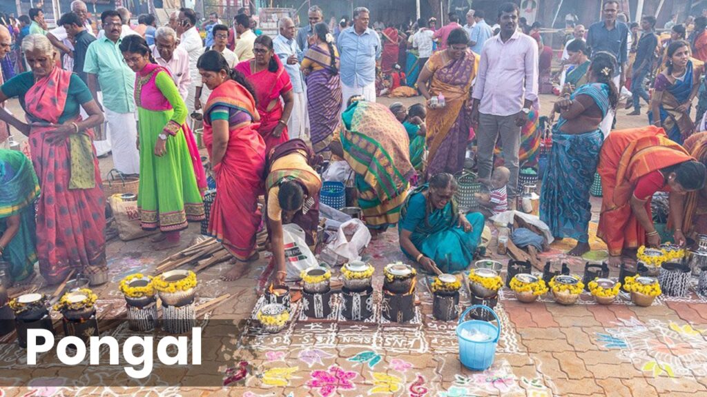 Pongal