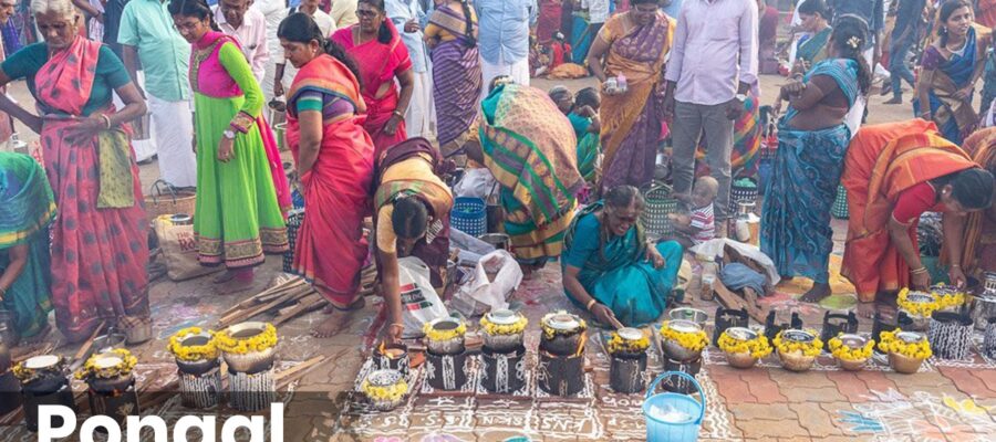 Pongal