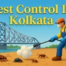 3D image of colorful pest control service in Kolkata, with bold Lora font and shadow-highlighted text on urban background.